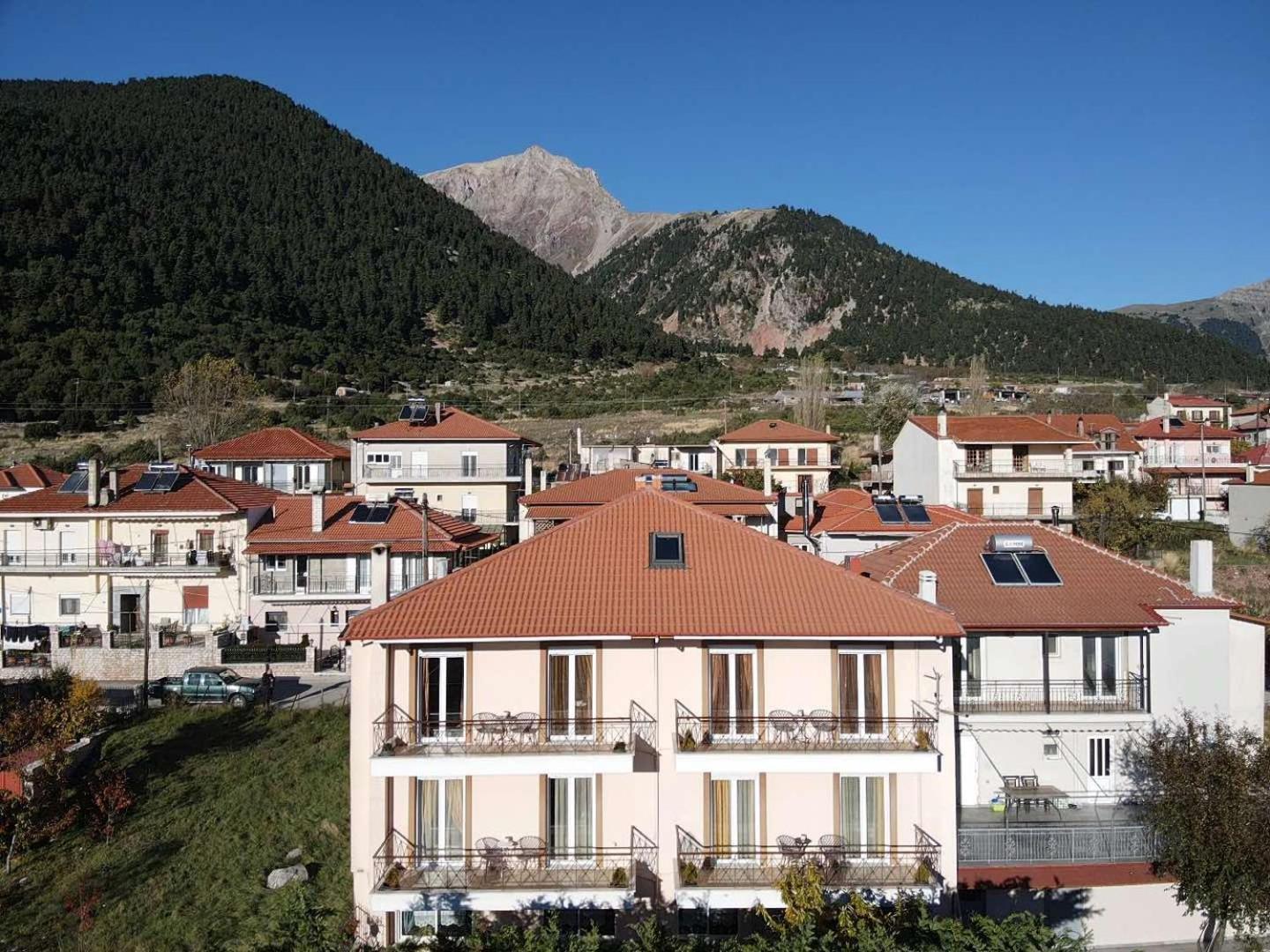 Xenonas Drimos Aparthotel Karpenisi Exterior photo